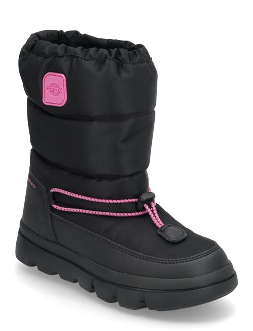 J Willaboom Girl B A GEOX Black