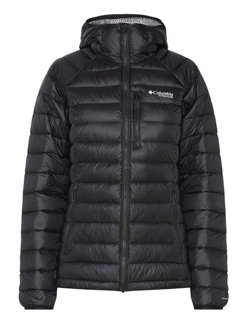 Arctic Crest Down Hooded Jacket Columbia Sportswear Black