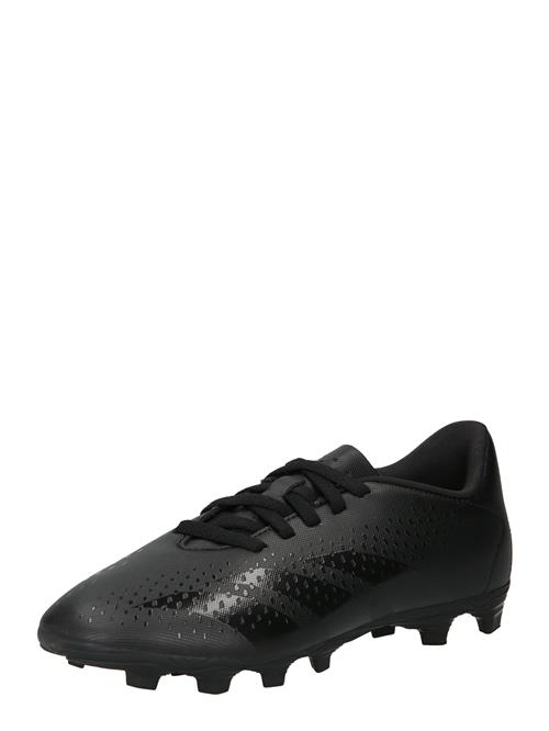 ADIDAS PERFORMANCE Sportssko 'Predator Accuracy.4'  sort