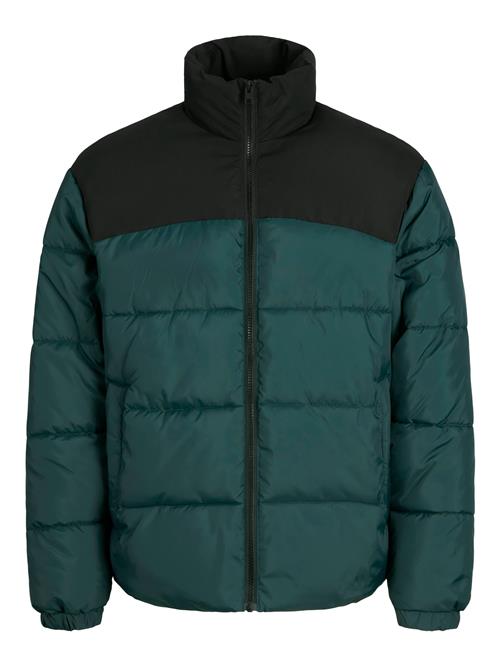 JACK & JONES Vinterjakke 'JJMOON'  smaragd / sort