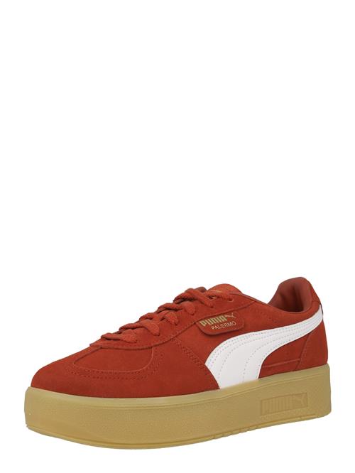 PUMA Sneaker low 'Palermo Elevata'  blodrød / hvid