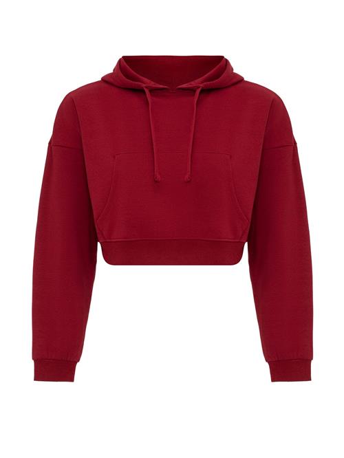 Jacey Quinn Sweatshirt  bordeaux