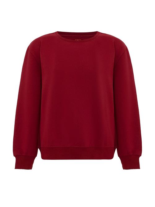 Se Jacey Quinn Pullover 'Emma'  bordeaux ved About You