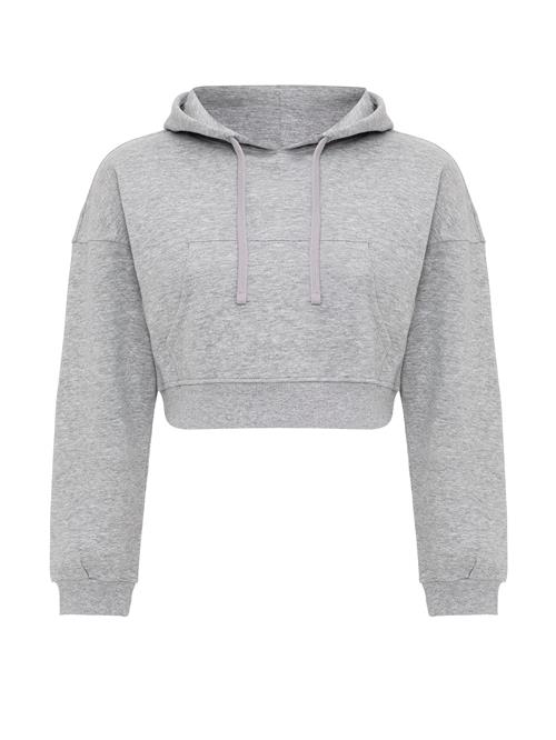 Jacey Quinn Sweatshirt 'Helga'  grå