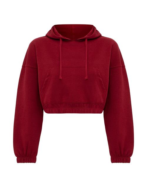 Jacey Quinn Sweatshirt 'Dora'  bordeaux