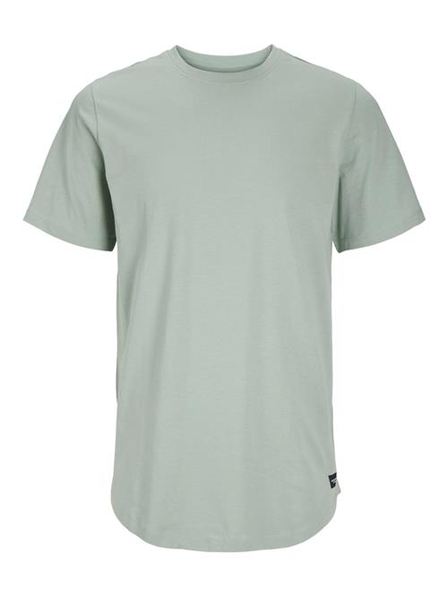 JACK & JONES Bluser & t-shirts 'JJENOA'  pastelgrøn