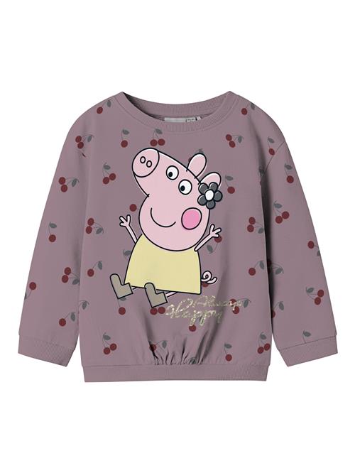 NAME IT Sweatshirt 'NMFDAMMA PEPPA'  lysegul / lysviolet / lyserød / mørkerød