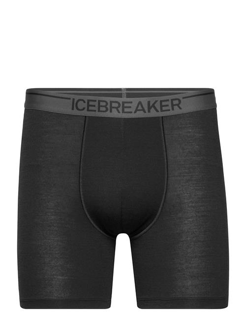 Icebreaker M Anatomica Long Boxers Icebreaker Black