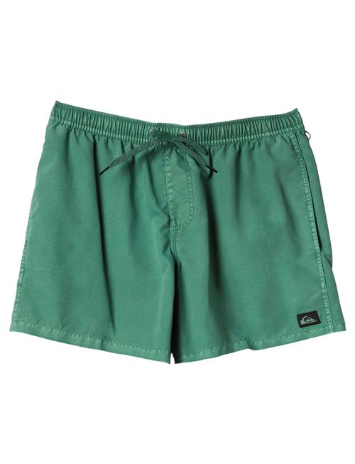 Everyday Surfwash Volley 15 Quiksilver Green