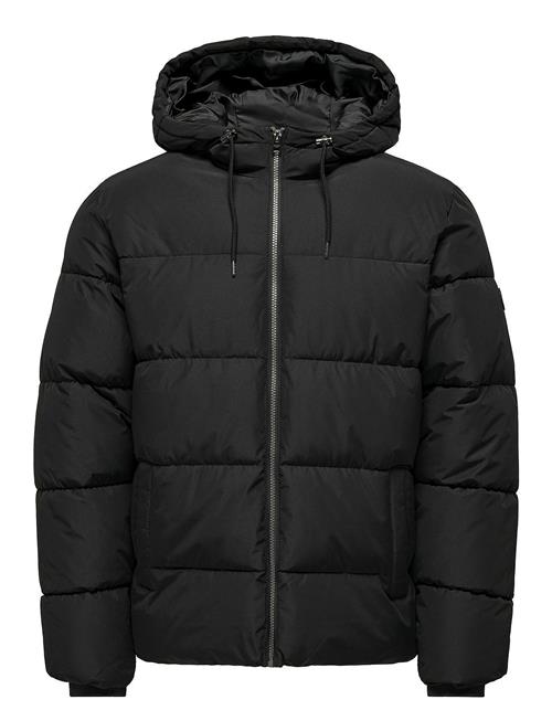 ONLY & SONS Onsmelvin Life Hood Puffer Jacket Otw Vd ONLY & SONS Black