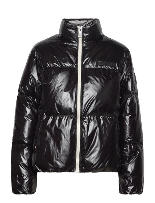 Tommy Hilfiger New York Gloss Puffer Jacket Tommy Hilfiger Black