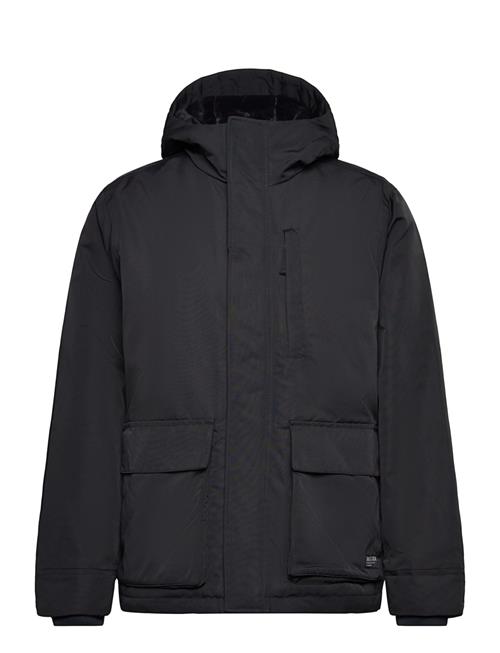 Hollister Hco. Guys Outerwear Hollister Black