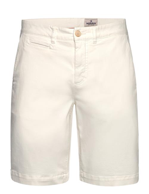 Jeffrey Chino Shorts Morris Cream