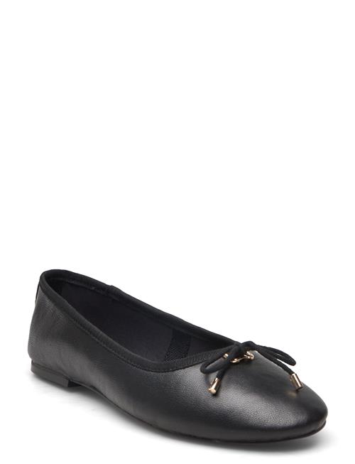 Blossoms Ballerina Steve Madden Black