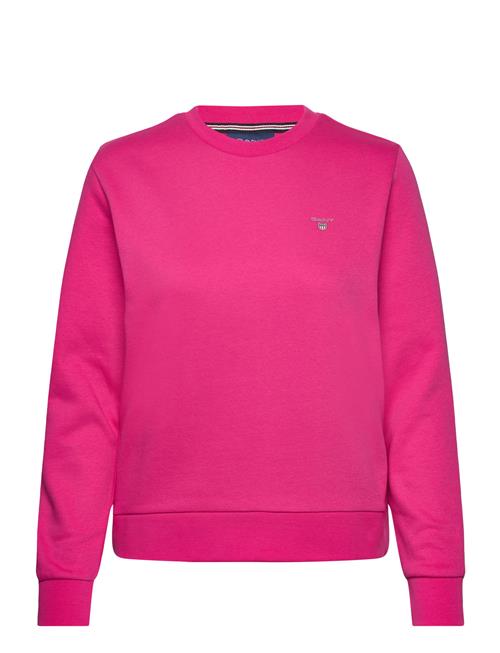 Reg Sweat GANT Pink