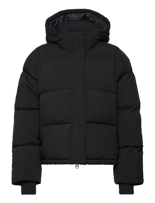 Björn Borg Studio Puffer Jacket Björn Borg Black