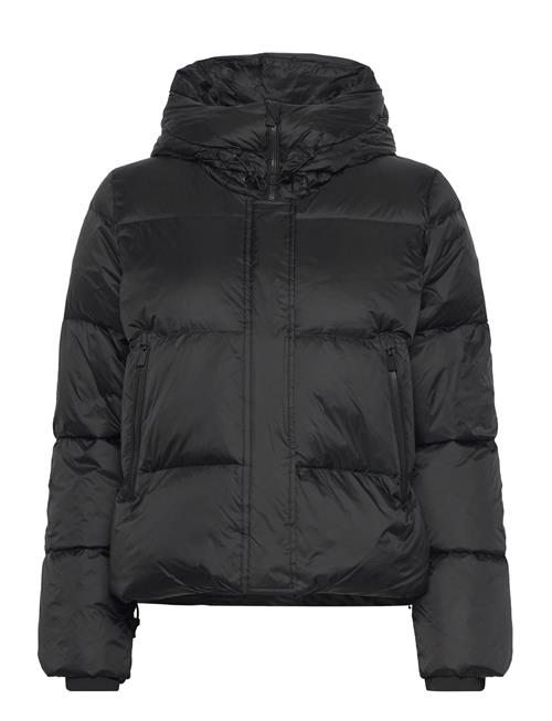 SNOOT Masella Jkt W SNOOT Black