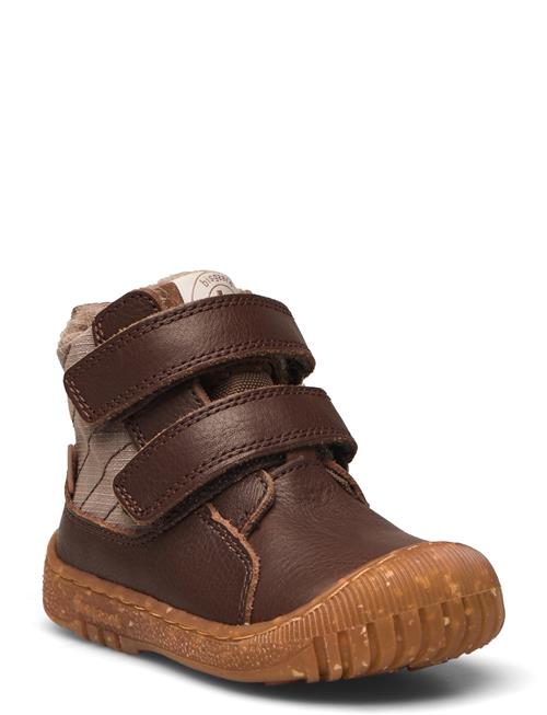 Bisgaard Bisgaard Helton Tex Bisgaard Brown