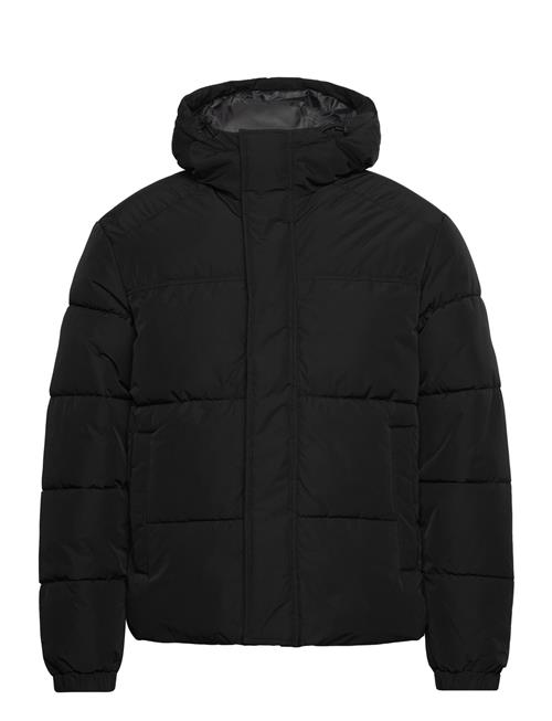 Jack & Jones Jjebradley Puffer Hood Sn Jack & J S Black