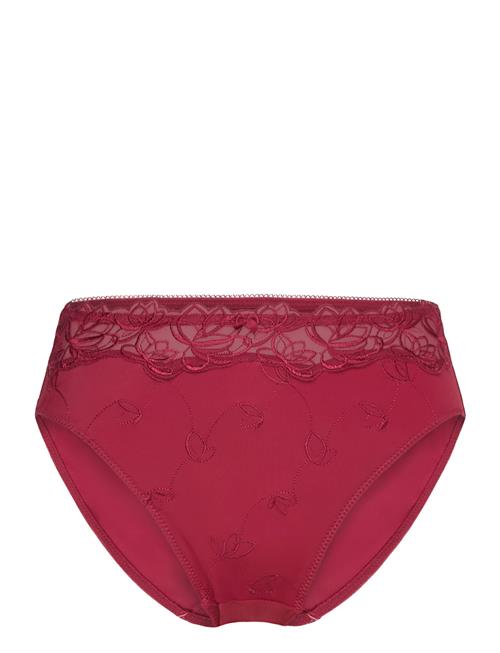 Diva Hl Rio H Hunkemöller Burgundy