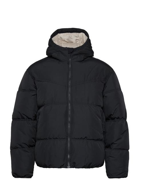 Hollister Hco. Guys Outerwear Hollister Black