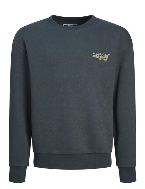 Jack & Jones Jorcollect Edt Loose Sweat Crew Jnr Jack & J S Grey