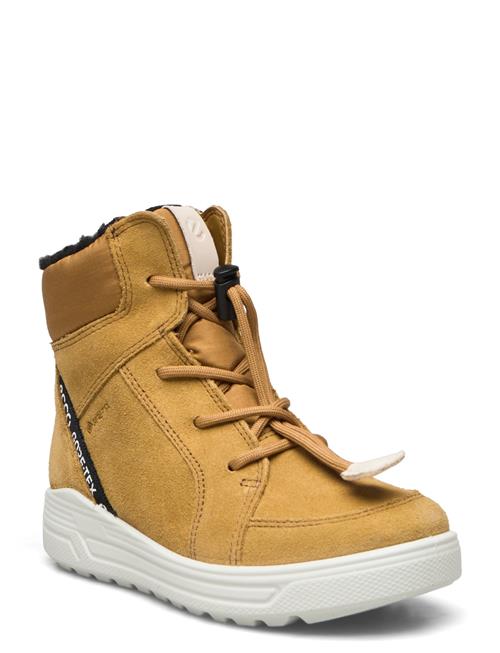 ECCO Urban Snowboarder ECCO Brown