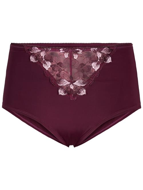 Devoted by Zizzi Panty 'LDITA'  bordeaux