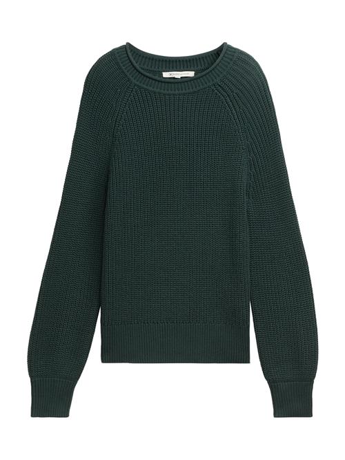 TOM TAILOR DENIM Pullover  mørkegrøn