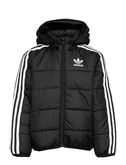 adidas Originals Padded Jacket Adidas Originals Black