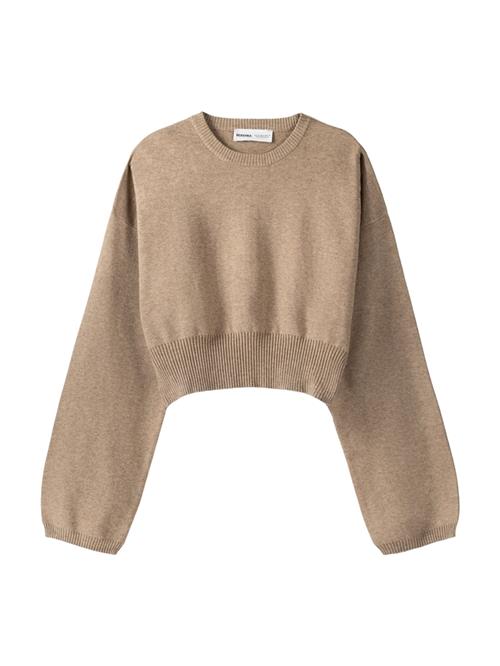 Bershka Pullover  mørkebeige