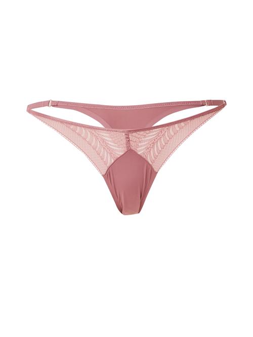 Calvin Klein Underwear String  pitaya