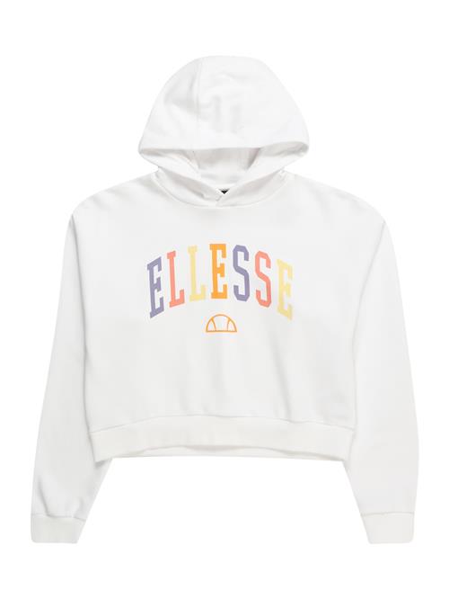 ELLESSE Sweatshirt 'Buccio'  gul / lilla / orange / hvid