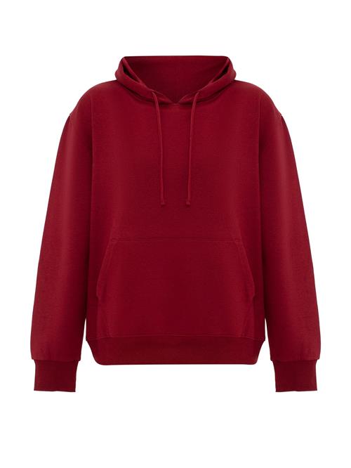 Se Jacey Quinn Sweatshirt  bordeaux ved About You