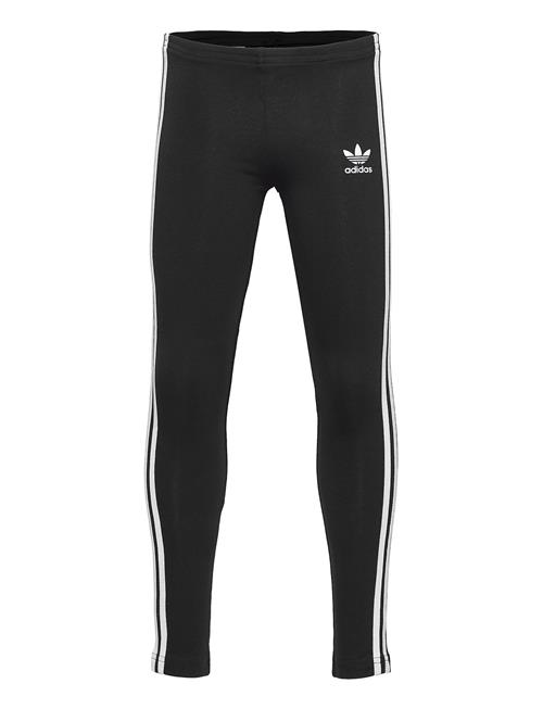 adidas Originals Leggings Adidas Originals Black