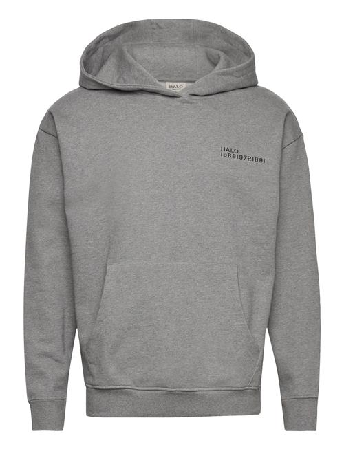 HALO Halo Essential Hoodie HALO Grey