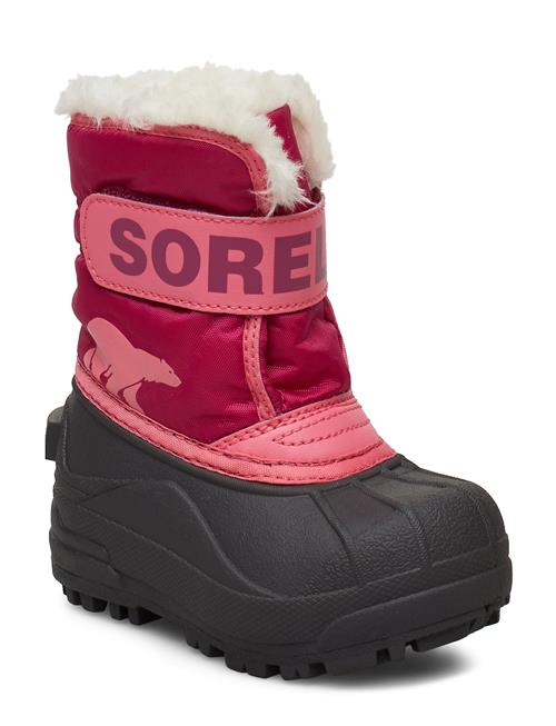 Sorel Toddler Snow Commander Sorel Pink