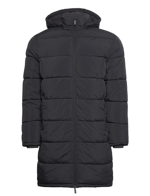 Selected Homme Slhcooper Puffer Coat Noos Selected Homme Black