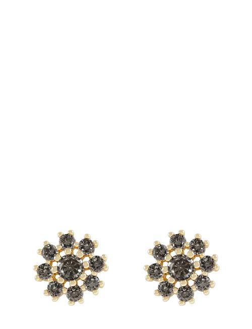 SNÖ of Sweden Trinnie Round Ear G/Champagne - SNÖ Of Sweden Black