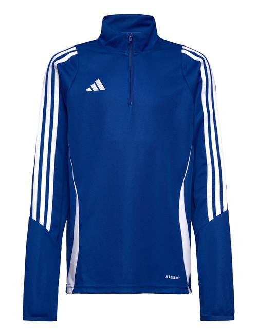 adidas Performance Tiro24 Trtopy Adidas Performance Blue