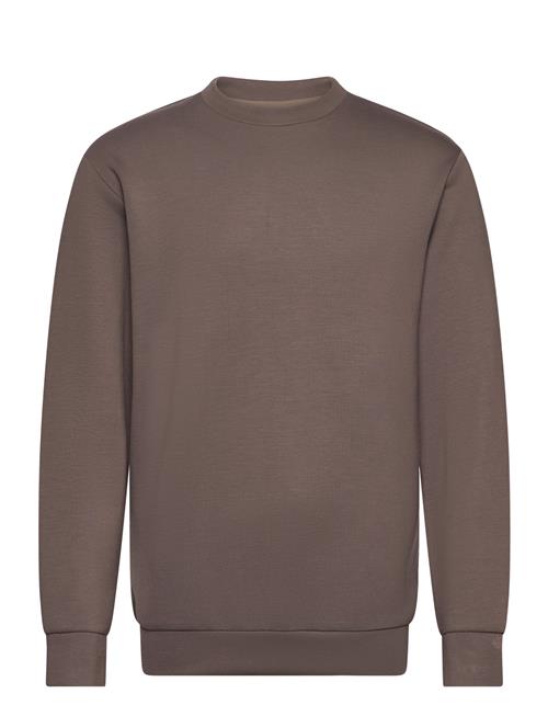 Selected Homme Slhemanuel Soft Crew Neck Sweat Noos Selected Homme Beige