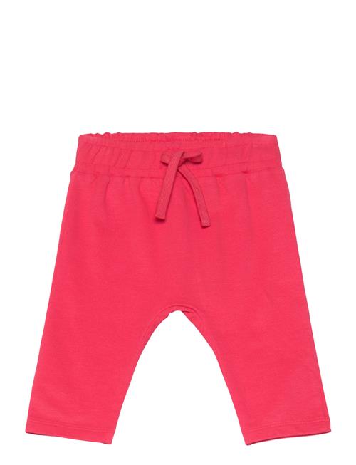 Tnsjuliana Harem Sweatpants The New Pink