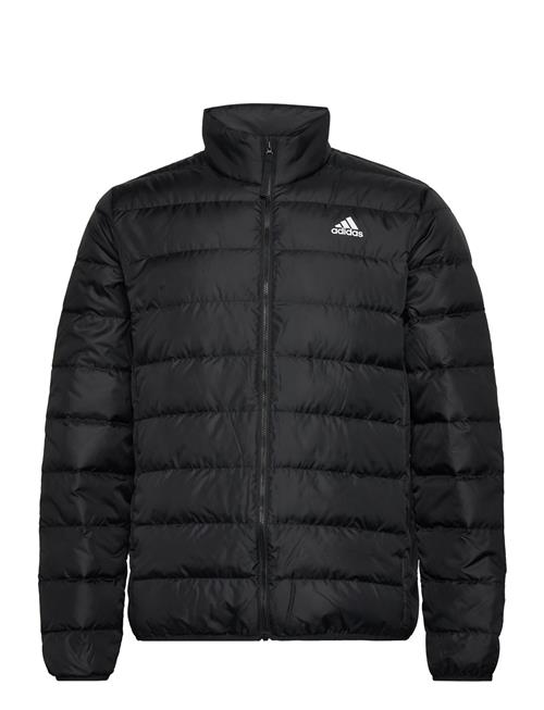 adidas Sportswear Adidas Essentials Light Down Jacket Adidas Sportswear Black