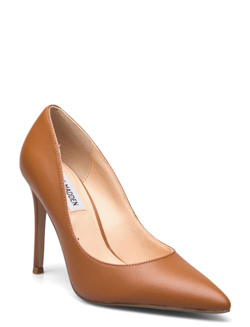 Steve Madden Evelyn-E Pump Steve Madden Brown