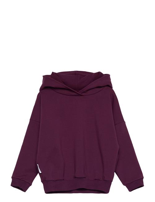 College Hoodie Gugguu Purple