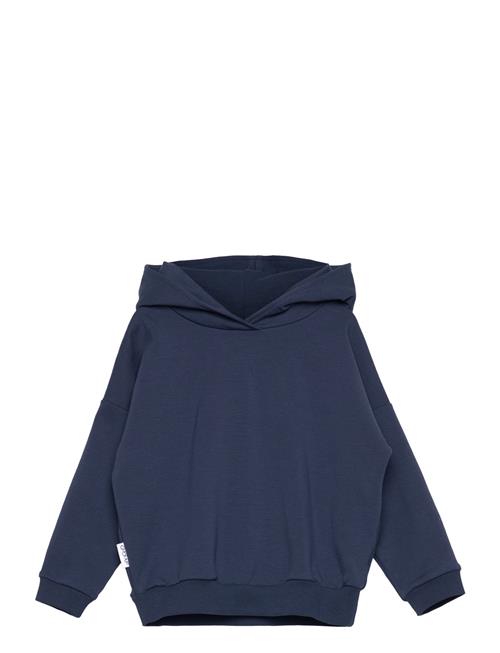 College Hoodie Gugguu Navy