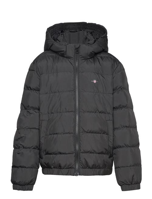 Shield Padded Jacket GANT Black