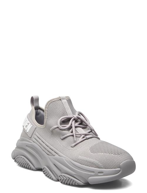 Steve Madden Prospect Sneaker Steve Madden Grey