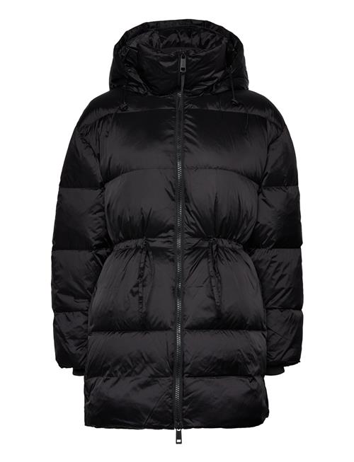 Waisted Down Padded Jacket Calvin Klein Black