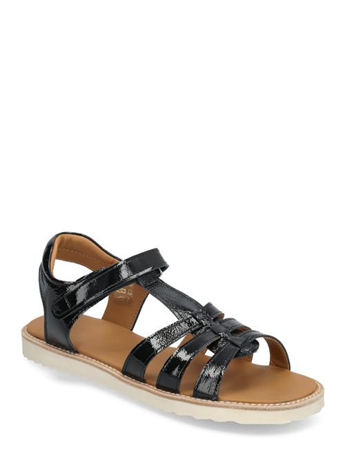 ANGULUS Sandals - Flat - Open Toe - Op ANGULUS Black